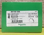 Magnecraft / Schneider Electric 831VS-120A Voltage Sensing Relay. Fixed Price $100.00.